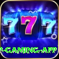 ShahSpin VIP Gaming App